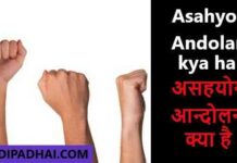 Asahyog Andolan kya hai