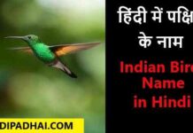 indian brids name in hindi