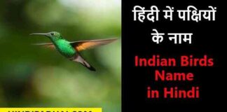 indian brids name in hindi