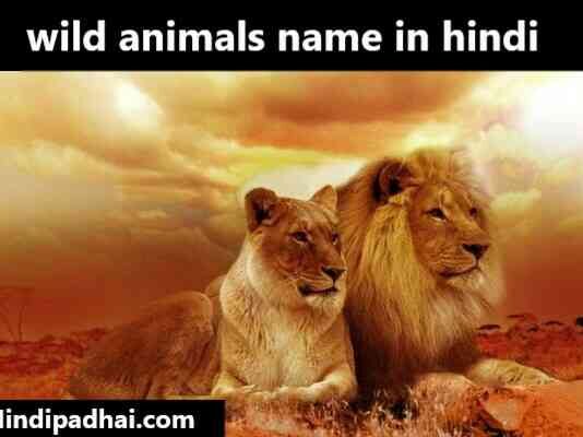 wild animals name in hindi and english