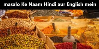masalo Ke Naam Hindi aur English mein
