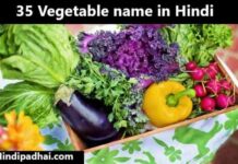 35 Vegetable name in Hindi