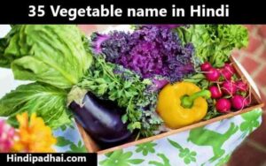 35 Vegetable name in Hindi