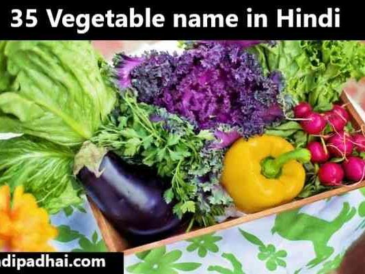 35 Vegetable name in Hindi