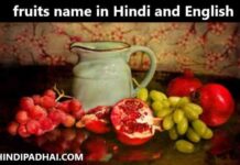 fruits name in Hindi and English