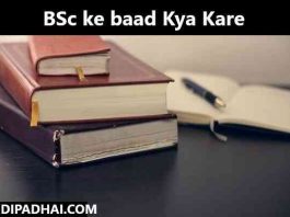 BSc ke baad Kya Kare